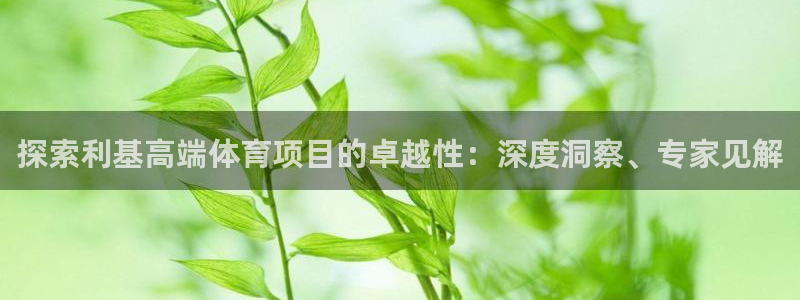 bifa必发唯一官网主页|探索利基高端体育项目的卓越性：深度