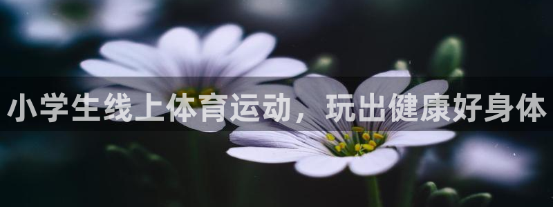 必发集团|小学生线上体育运动，玩出健康好身体