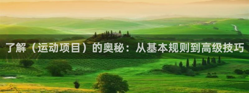 bifa必发唯一官网主页|了解（运动项目）的奥秘：从基本规则