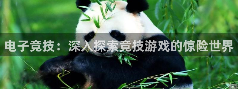 必发集团welcome|电子竞技：深入探索竞技游戏的惊险世界