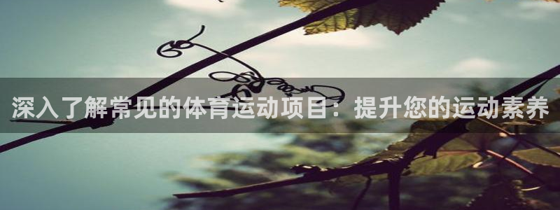 必发集团|深入了解常见的体育运动项目：提升您的运动素养