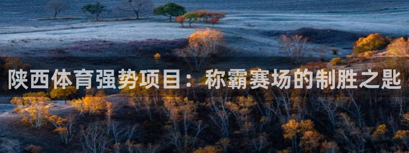 必发集团app