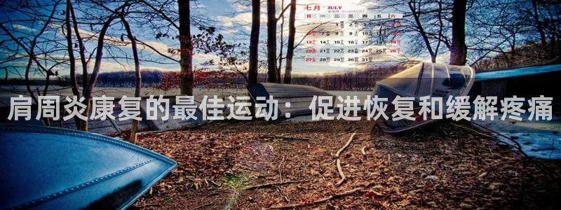 必发集团所有平台大全|肩周炎康复的最佳运动：促进恢复和缓解疼