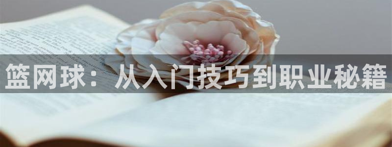 7790必发集团|篮网球：从入门技巧到职业秘籍