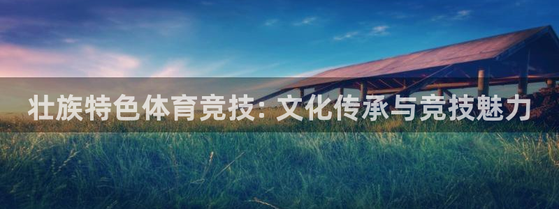 必发集团9778|壮族特色体育竞技: 文化传承与竞技魅力