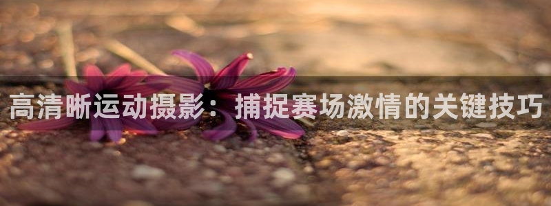 必发集团登录入口7790|高清晰运动摄影：捕捉赛场激情的关键