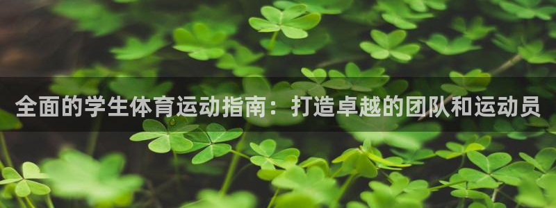 必发集团所有平台大全|全面的学生体育运动指南：打造卓越的团队