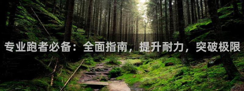 bifa必发唯一官网主页|专业跑者必备：全面指南，提升耐力，