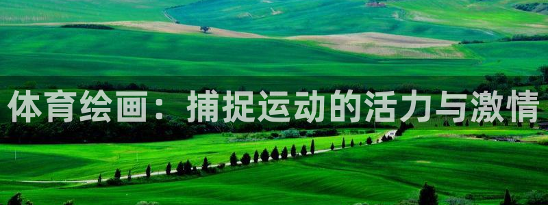 必发集团|体育绘画：捕捉运动的活力与激情