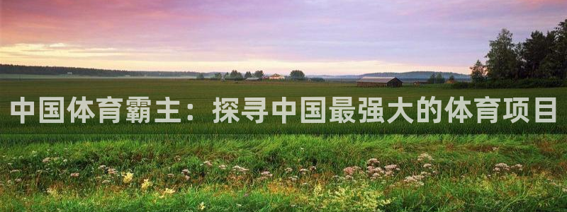 welcometo欢迎光临必发集团|中国体育霸主：探寻中国最