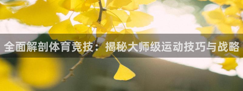 必发集团网站检查线路|全面解剖体育竞技：揭秘大师级运动技巧与