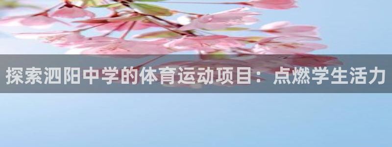 7790必发集团|探索泗阳中学的体育运动项目：点燃学生活力