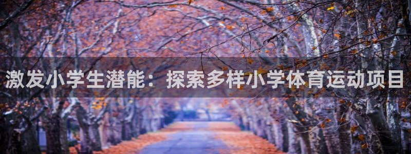 bifa必发·唯一中国官方网站|激发小学生潜能：探索多样小学