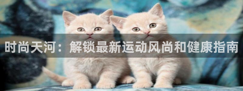 7790必发集团网址