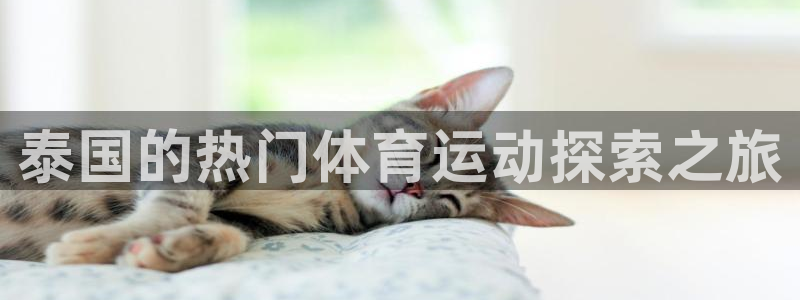 必发集团欢迎光临