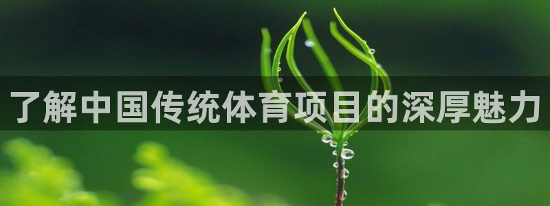 7790必发集团网址