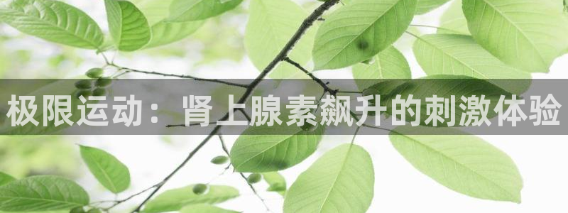 必发7790全部平台