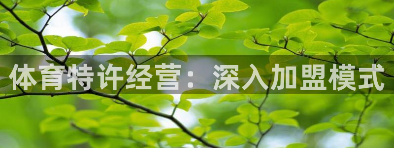 6690必发集团