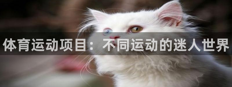 必发88手机版本登录