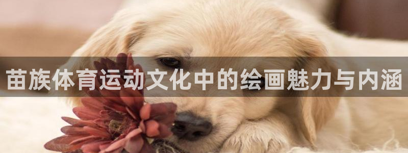 必发集团官网