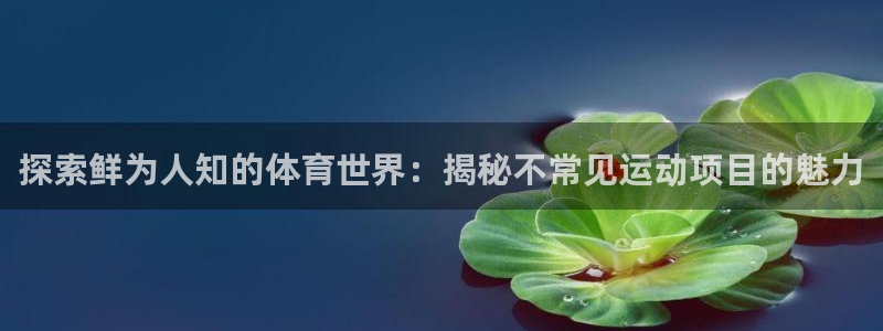 必发集团9778