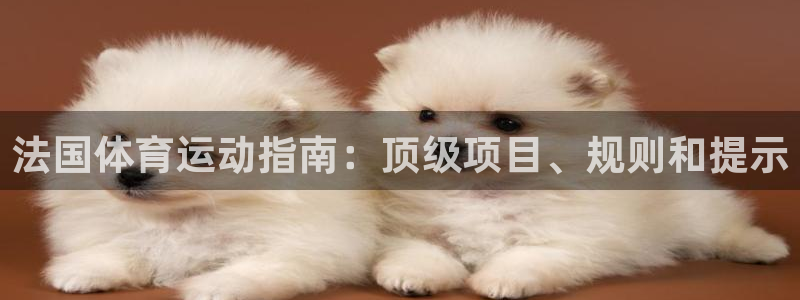 7790必发集团下载