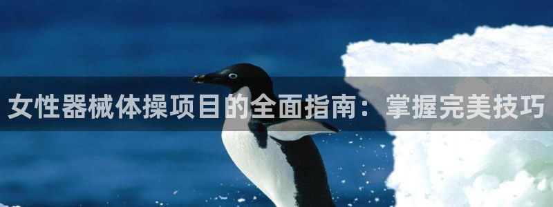 必发bf88