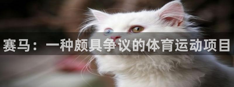 必发集团网站检查线路
