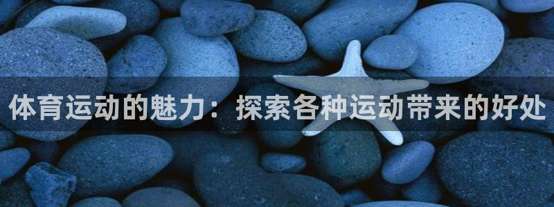 bifa必发·唯一中国官方网站