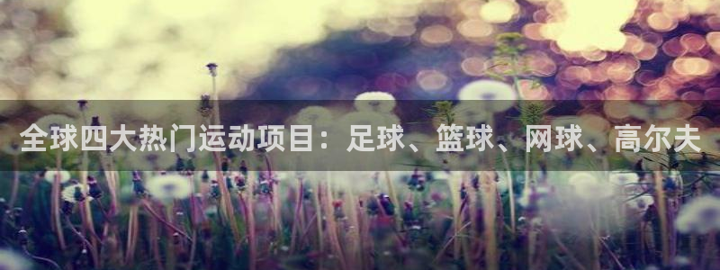 必发集团平台|全球四大热门运动项目：足球、篮球、网球、高尔夫