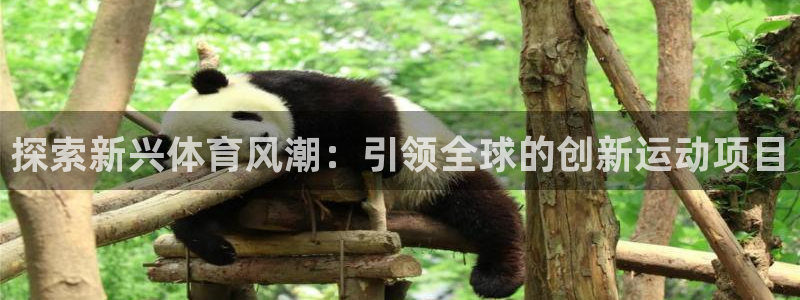 必发7790集团所有网站|探索新兴体育风潮：引领全球的创新运