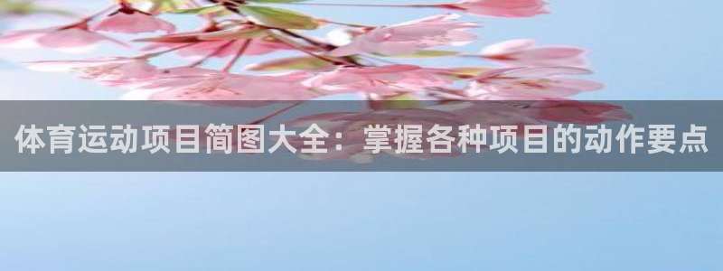 7790必发集团app|体育运动项目简图大全：掌握各种项目的