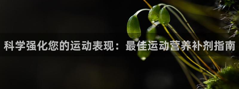 必发集团9778|科学强化您的运动表现：最佳运动营养补剂指南