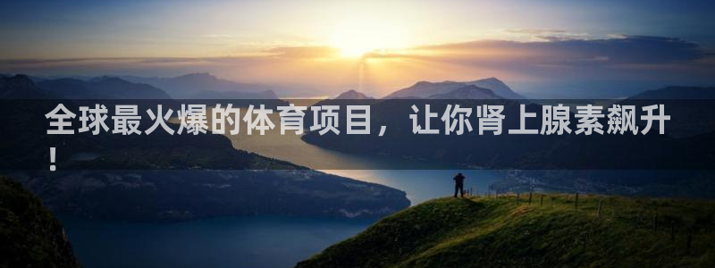 home一必发官网|全球最火爆的体育项目，让你肾上腺素飙升
