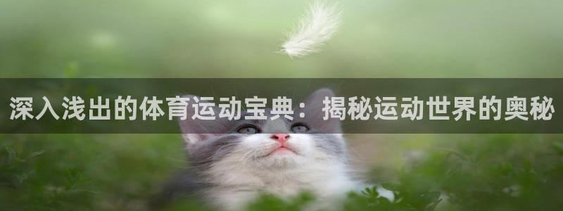 必发集团官网登录|深入浅出的体育运动宝典：揭秘运动世界的奥秘