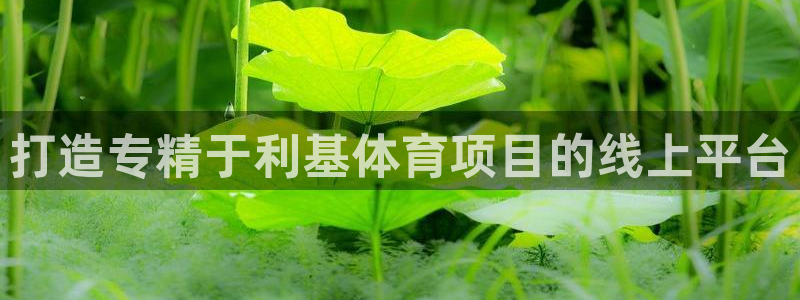 7790必发集团网址