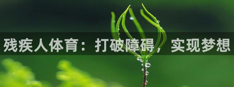 必发集团app下载|残疾人体育：打破障碍，实现梦想