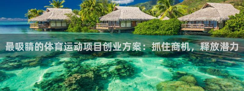 必发集团7790|最吸睛的体育运动项目创业方案：抓住商机，释
